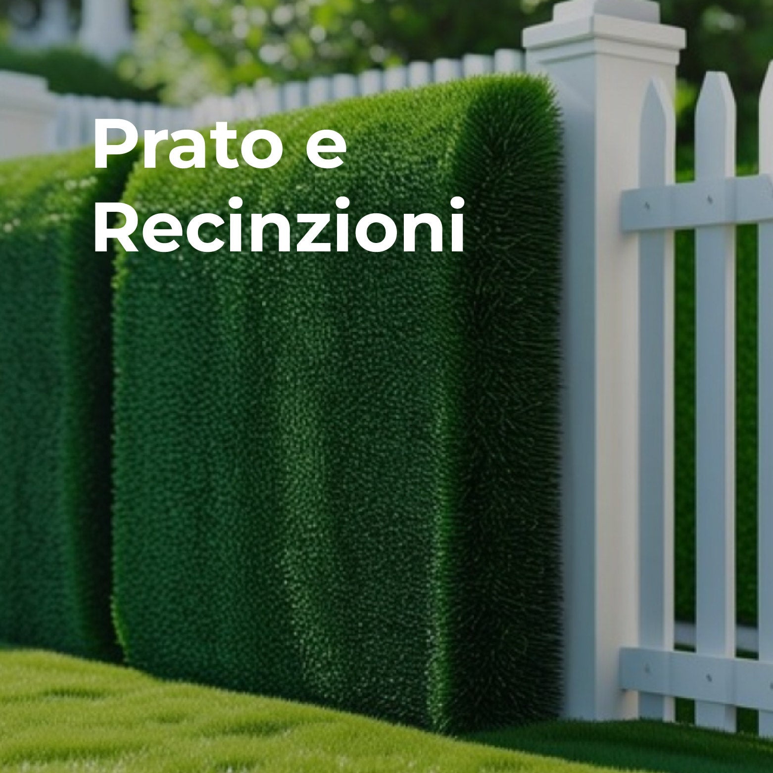 Prato e recinzioni